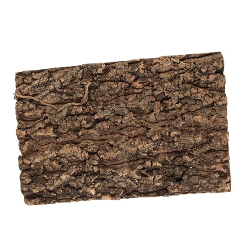 VANZACK Terrarium-Champagnerrinde Reptilien Terrarium Kletterhölzer für Echsen Reptilien Unterbringung Reptilien Habitat Reptilienhintergrund für Terrarium Reptilienhintergrundbrett Coffee von VANZACK