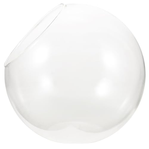VANZACK Terrarium Flasche Hochtransparentes DIY Pflanzengefäß für Moos und Landschaften für Schreibtischdekoration und Gartenideen von VANZACK