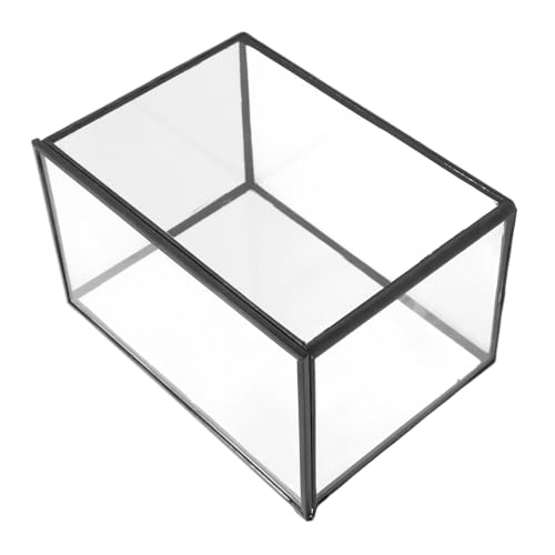 VANZACK Terrarium Pflanzer Vase für Landschaft Transparenter Pflanzenhalter für DIY Landschaften Langlebiges und Modisches Design für Innen und Außendekoration von VANZACK