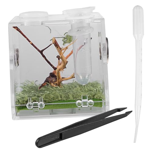 VANZACK Transparente Reptilien Aufzuchtbox aus Kunststoff mit Tropfpipette und Pinzette Tragbares Terrarium mit Belüftungslöchern Geeignet für Kleine Spinnen und Haustiere Praktisches VANZACK Transparente Reptilien Aufzuchtbox aus Kunststoff mit Tropfpipette und Pinzette Tragbares Terrarium mit Belüftungslöchern Geeignet für Kleine Spinnen und Haustiere Praktisches von VANZACK