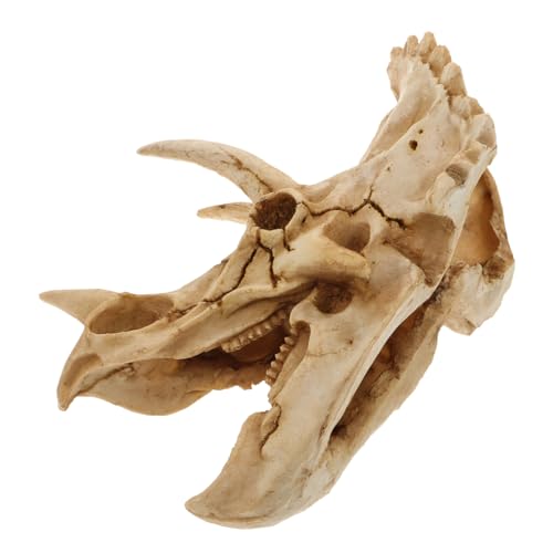VANZACK Gecko-versteck Höhle -Ornament Aus Kunstharz Dinosaurier- -versteck Für Reptilien Eidechsen Schildkröten Schlangen Spinnen von VANZACK