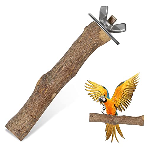 VANZACK Vogelkrallenschärfer Papageienstange Vogelkäfige Klaue Barsch Plattform Astständer aus Naturholz Vogelstangen für Käfig Vogel sitzt Holz Stangenhalter aus Holz Rostfreier Stahl VANZACK Vogelkrallenschärfer Papageienstange Vogelkäfige Klaue Barsch Plattform Astständer aus Naturholz Vogelstangen für Käfig Vogel sitzt Holz Stangenhalter aus Holz Rostfreier Stahl von VANZACK