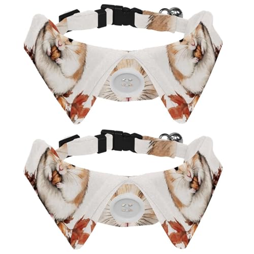 2 x Fliege für Katzen und Hunde, verstellbares Haustierhalsband, Fliege, Smoking, formelle Krawatte für Jungen, Mädchen, Welpen, Kätzchen, Hochzeit, Geburtstag, Hamster, Haselnuss 2 x Fliege für Katzen und Hunde, verstellbares Haustierhalsband, Fliege, Smoking, formelle Krawatte für Jungen, Mädchen, Welpen, Kätzchen, Hochzeit, Geburtstag, Hamster, Haselnuss von VAPOKF