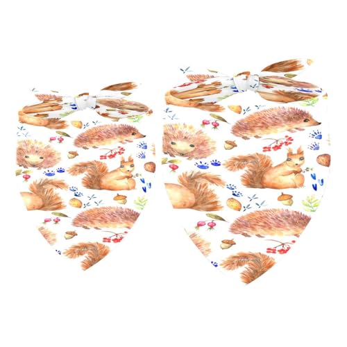 2 x Hundehalstuch, Igel, Eichhörnchen und Pilz, für Mädchen, Jungen, Halstuch, Halstuch, Zubehör für kleine, mittelgroße und große Hunde, Welpen, Katzen, Haustiere 2 x Hundehalstuch, Igel, Eichhörnchen und Pilz, für Mädchen, Jungen, Halstuch, Halstuch, Zubehör für kleine, mittelgroße und große Hunde, Welpen, Katzen, Haustiere von VAPOKF