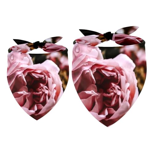 2 x Hundehalstuch, Rosa, schöne Rose, Mädchen, Jungen, Halstuch, Zubehör für kleine, mittelgroße und große Hunde, Welpen, Katzen, Haustiere 2 x Hundehalstuch, Rosa, schöne Rose, Mädchen, Jungen, Halstuch, Zubehör für kleine, mittelgroße und große Hunde, Welpen, Katzen, Haustiere von VAPOKF