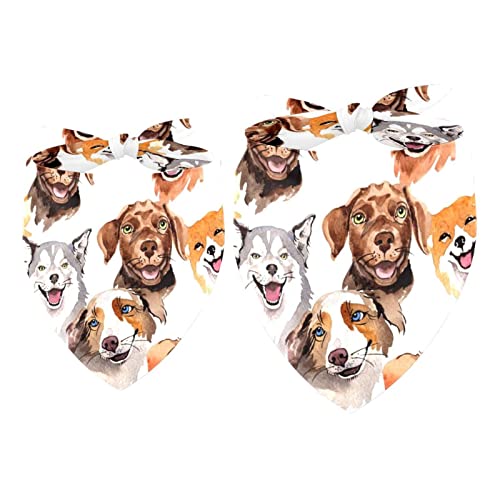 2er-Pack Hundehalstücher Corgi Labredoodle Welpenhunde Mädchen-Jungen-Lätzchen, Hundeschal, Kopftuch, Zubehör für kleine, mittelgroße und große Hunde, Welpen, Katzen, Haustiere von VAPOKF