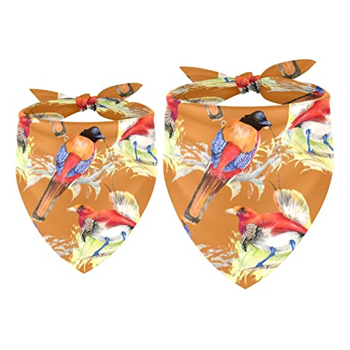 2er-Pack Hundehalstücher Vögel auf Zweigen Mädchen-Jungen-Lätzchen, Hundeschal, Kopftuch, Zubehör für kleine, mittelgroße und große Hunde, Welpen, Katzen, Haustiere 2er-Pack Hundehalstücher Vögel auf Zweigen Mädchen-Jungen-Lätzchen, Hundeschal, Kopftuch, Zubehör für kleine, mittelgroße und große Hunde, Welpen, Katzen, Haustiere von VAPOKF
