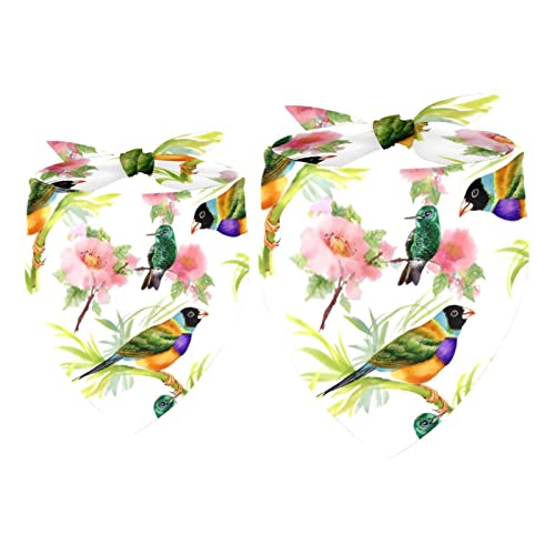 2er-Pack Hundehalstücher Wunderschöne Tropische Vögel und Blumen Mädchen-Jungen-Lätzchen, Hundeschal, Kopftuch, Zubehör für kleine, mittelgroße und große Hunde, Welpen, Katzen, Haustiere 2er-Pack Hundehalstücher Wunderschöne Tropische Vögel und Blumen Mädchen-Jungen-Lätzchen, Hundeschal, Kopftuch, Zubehör für kleine, mittelgroße und große Hunde, Welpen, Katzen, Haustiere von VAPOKF