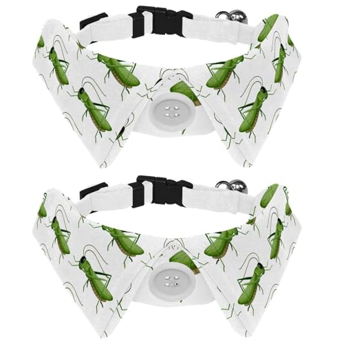 Fliege für Katzen und Hunde, verstellbar, für Jungen, Mädchen, Welpen, Kätzchen, Hochzeit, Geburtstag, Cartoon, Grün, Grashüpfer, Heuschrecke, Insekt, 2 Stück Fliege für Katzen und Hunde, verstellbar, für Jungen, Mädchen, Welpen, Kätzchen, Hochzeit, Geburtstag, Cartoon, Grün, Grashüpfer, Heuschrecke, Insekt, 2 Stück von VAPOKF