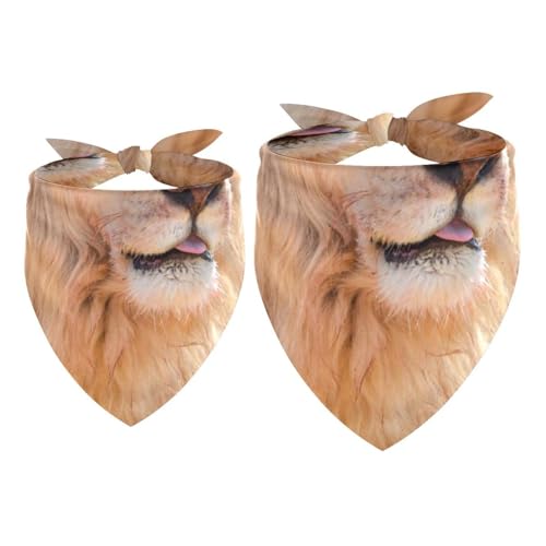Halstuch, Halstuch, Halstuch, Zubehör für kleine, mittelgroße und große Hunde, Welpen, Katzen, Haustiere, 2 Stück Halstuch, Halstuch, Halstuch, Zubehör für kleine, mittelgroße und große Hunde, Welpen, Katzen, Haustiere, 2 Stück von VAPOKF