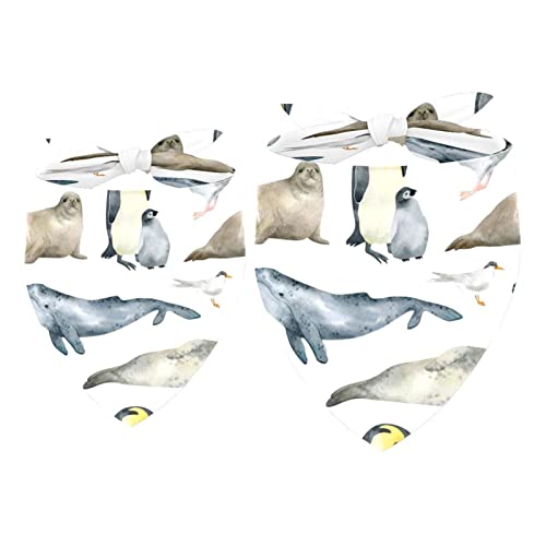 Hundehalstuch, Antarktis-Tiere, Pinguin-Siegel, Wal, Vogel, Mädchen, Jungen, Lätzchen, Hundeschal, Zubehör für kleine, mittelgroße und große Hunde, Welpen, Katzen, Haustiere, 2 Stück Hundehalstuch, Antarktis-Tiere, Pinguin-Siegel, Wal, Vogel, Mädchen, Jungen, Lätzchen, Hundeschal, Zubehör für kleine, mittelgroße und große Hunde, Welpen, Katzen, Haustiere, 2 Stück von VAPOKF