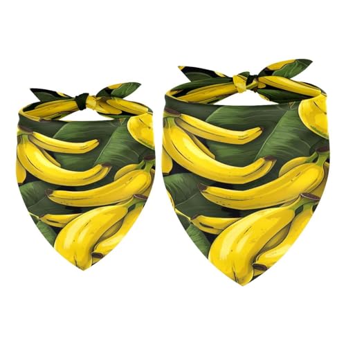 Hundehalstuch, Bananenmotiv mit Früchten und Blättern, für Mädchen, Jungen, waschbar, Halstuch, Zubehör für kleine, mittelgroße und große Hunde, Welpen, Katzen, Haustiere, 2 Stück Hundehalstuch, Bananenmotiv mit Früchten und Blättern, für Mädchen, Jungen, waschbar, Halstuch, Zubehör für kleine, mittelgroße und große Hunde, Welpen, Katzen, Haustiere, 2 Stück von VAPOKF