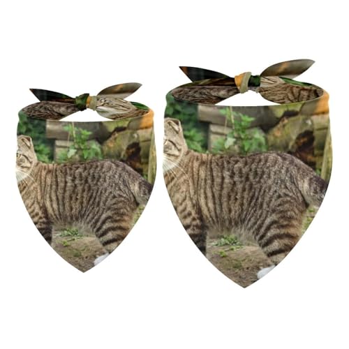 Hundehalstuch, Halstuch, Zubehör für kleine, mittelgroße und große Hunde, Welpen, Katzen, Haustiere, Grau, 2 Stück Hundehalstuch, Halstuch, Zubehör für kleine, mittelgroße und große Hunde, Welpen, Katzen, Haustiere, Grau, 2 Stück von VAPOKF