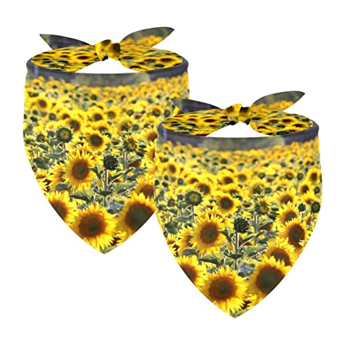 Hundehalstuch, Hundehalstuch, waschbar, Zubehör für kleine, mittelgroße und große Hunde, Welpen, Katzen, Sonnenblumengarten, 2 Stück Hundehalstuch, Hundehalstuch, waschbar, Zubehör für kleine, mittelgroße und große Hunde, Welpen, Katzen, Sonnenblumengarten, 2 Stück von VAPOKF