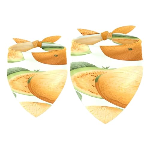 Hundehalstuch, Motiv: Cantaloupe, Obst, für Mädchen, Jungen, waschbar, Halstuch, Zubehör für kleine, mittelgroße und große Hunde, Welpen, Katzen, Haustiere, 2 Stück Hundehalstuch, Motiv: Cantaloupe, Obst, für Mädchen, Jungen, waschbar, Halstuch, Zubehör für kleine, mittelgroße und große Hunde, Welpen, Katzen, Haustiere, 2 Stück von VAPOKF