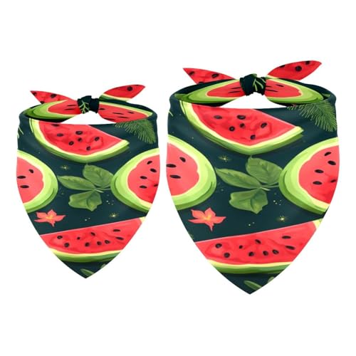 Hundehalstuch, Sommerfrucht, süße Wassermelone, für Mädchen und Jungen, waschbar, Halstuch, Zubehör für kleine, mittelgroße und große Hunde, Welpen, Katzen, Haustiere, 2 Stück von VAPOKF