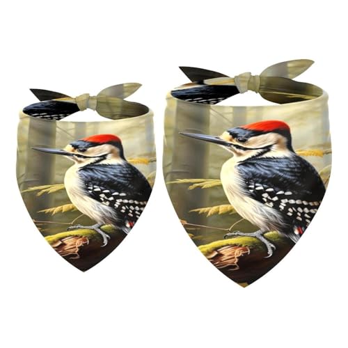 Hundehalstuch, Specht, Vogel auf roten Beeren, Zweig, Mädchen, Jungen, Haustier-Lätzchen, Halstuch, waschbar, Halstuch, Zubehör für kleine, mittelgroße und große Hunde, Welpen, Katzen, Haustiere, 2 Hundehalstuch, Specht, Vogel auf roten Beeren, Zweig, Mädchen, Jungen, Haustier-Lätzchen, Halstuch, waschbar, Halstuch, Zubehör für kleine, mittelgroße und große Hunde, Welpen, Katzen, Haustiere, 2 von VAPOKF