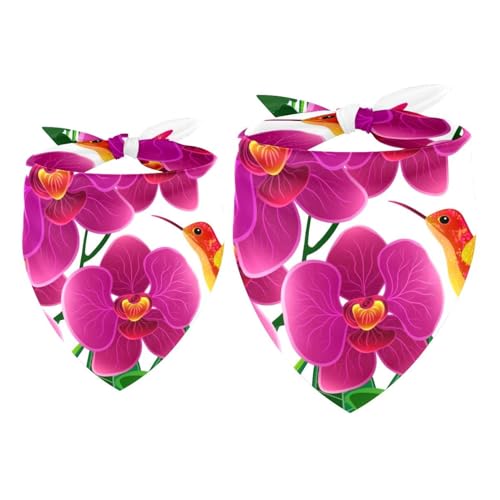Hundehalstuch, Vogel-Schmetterling mit Blumenmädchen, Jungen, Halstuch, Zubehör für kleine, mittelgroße und große Hunde, Welpen, Katzen, Haustiere, 2 Stück von VAPOKF