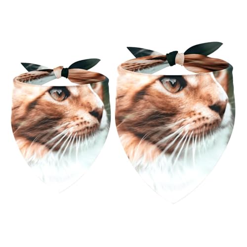 Hundehalstuch, langhaarig, Maine, Katze, Mädchen, Jungen, Halstuch, Zubehör für kleine, mittelgroße und große Hunde, Welpen, Katzen, Haustiere, 2 Stück Hundehalstuch, langhaarig, Maine, Katze, Mädchen, Jungen, Halstuch, Zubehör für kleine, mittelgroße und große Hunde, Welpen, Katzen, Haustiere, 2 Stück von VAPOKF