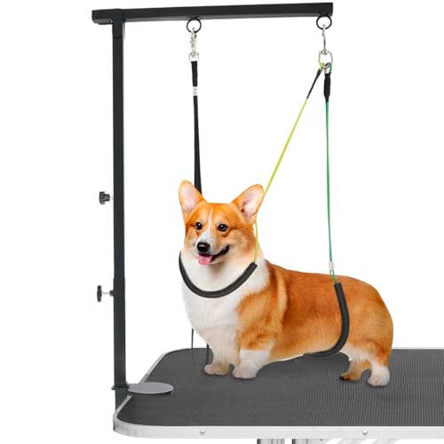 VAVPUP Arm für Hundepflegetisch mit Klemme,Eisen Höhenverstellbares Haustierpflegewerkzeug,Platzsparender Ständer für Hundepflegegeschirr zum Trimmen,Trocknen,Krallenschneiden,Haarschneiden VAVPUP Arm für Hundepflegetisch mit Klemme,Eisen Höhenverstellbares Haustierpflegewerkzeug,Platzsparender Ständer für Hundepflegegeschirr zum Trimmen,Trocknen,Krallenschneiden,Haarschneiden von VAVPUP