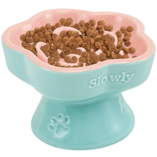 VAVPUP Erhöhter Futternapf für Katzen mit langsamer Fütterung,Antischlingnapf Katze Keramik,Sicherer Flacher Breiter Geneigter Futternapf,Niedlicher für Hundefutternapf für Katzen und Hunde VAVPUP Erhöhter Futternapf für Katzen mit langsamer Fütterung,Antischlingnapf Katze Keramik,Sicherer Flacher Breiter Geneigter Futternapf,Niedlicher für Hundefutternapf für Katzen und Hunde von VAVPUP