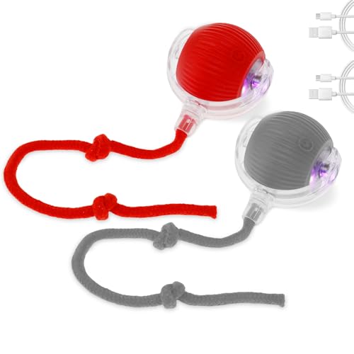 VAVPUP Katzenspielzeug,Interaktives Katzenball,USB Automatischer Rollball für Haustiere,Magic Ball Hund,Hundespielzeug Ball,4 Modi für Haustiere,Katzenballspielzeug (Rot+Grau) von VAVPUP