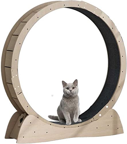 Großes Katzenübungsrad Für Innenkatzen Katzenrad Mit Sicherheitsschloss Austauschbare Griffpads Geräuschlose Walzen Für Tierverlustgewicht Und Bewegung,L von VBVARV