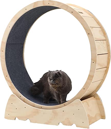 Katzenlaufrad Katzenübungsrad Katzenrad -Übende Für Innenkatzen Mit Teppichsteg Naturholzfarbe Katzenrad,106cm von VBVARV