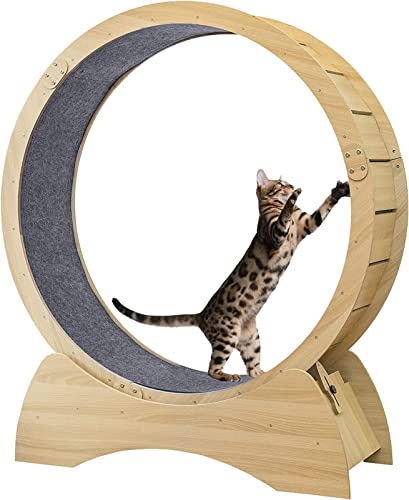 Katzenübungsrad Katzenlaufmühle Mit Teppichsteg Geräuschloser Roller Katzenlaufrad Für Tierverlustgewicht Und Tägliche Bewegung,Wood,L von VBVARV