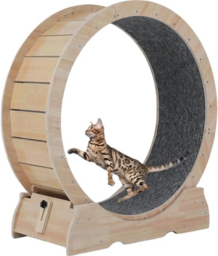 VBVARV Katzenübungsrad Für Innenkatzen Großes Katzenübungsrad Mit Teppichsteg Laufrad -Laufband Mit Ultra Niedrigem Rauschen Für Die Fitness Und Gesundheit Der Katze,Wood,100CM von VBVARV