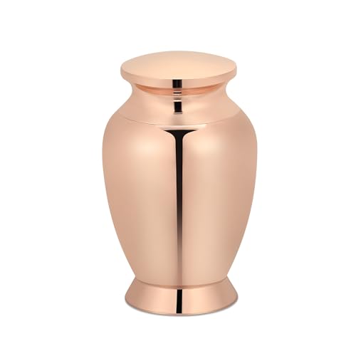 VCCWYQK 2.83 Zoll kleine Urnen für menschliche Haustier Asche Mini Kremation Beerdigung Urnen Edelstahl Keepsake Urnen für Asche Memorial Asche Halter für geliebte Menschen VCCWYQK 2.83 Zoll kleine Urnen für menschliche Haustier Asche Mini Kremation Beerdigung Urnen Edelstahl Keepsake Urnen für Asche Memorial Asche Halter für geliebte Menschen von VCCWYQK