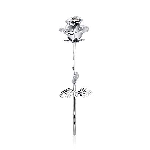 VCCWYQK Rose Blume Keepsake Urne für Asche Sympathie Geschenk Edelstahl Kremation Keepsake Rose für das Teilen der menschlichen Asche VCCWYQK Rose Blume Keepsake Urne für Asche Sympathie Geschenk Edelstahl Kremation Keepsake Rose für das Teilen der menschlichen Asche von VCCWYQK