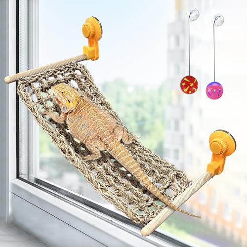 VCEPJH Bartagrache Fensterstange Reptilien-Fensterhängematte natürliches Seegras Eidechse Liege Bett mit leistungsstarken Saugnäpfen Kletterspielzeug Tankzubehör für Gecko Chamäleon (15,75 x 7,87) VCEPJH Bartagrache Fensterstange Reptilien-Fensterhängematte natürliches Seegras Eidechse Liege Bett mit leistungsstarken Saugnäpfen Kletterspielzeug Tankzubehör für Gecko Chamäleon (15,75 x 7,87) von VCEPJH
