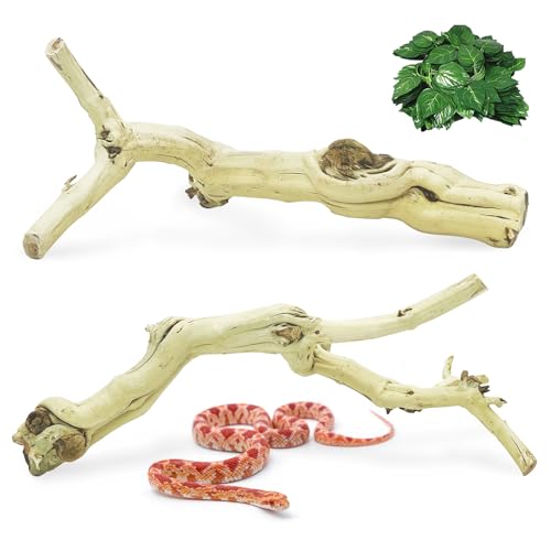 VCEPJH Schlangenkletterzweig, Reptilienholz, Naturkork, Terrarium, Dekoration, Bartdrache, Tankzubehör, Baumstamm für Chamäleon, Gecko, Kugel, Python, Frosch, Panlong Holz (30 - 35 cm) von VCEPJH