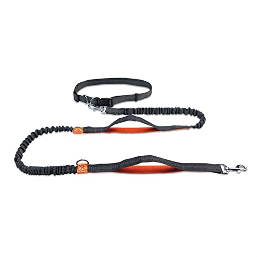 VDCVADKYE Einziehbare Hundeleine, Hundelaufgürtel Haustier Bungee-Leinen Hundetraining for mittelgroße und große Hundebedarf Hundeleine von VDCVADKYE