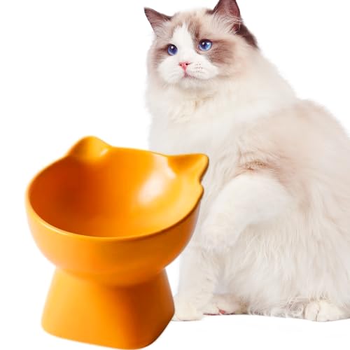 Erhöhte Katzenfutterschalen, 15° geneigte Keramik-Katzennapf, Anti-Erbrechen, Schnurrhaarfreundlich, Katzenfutter- und Wassernapf für Indoor-Katzen, kleine Hunde (Gelb) von VEEKI