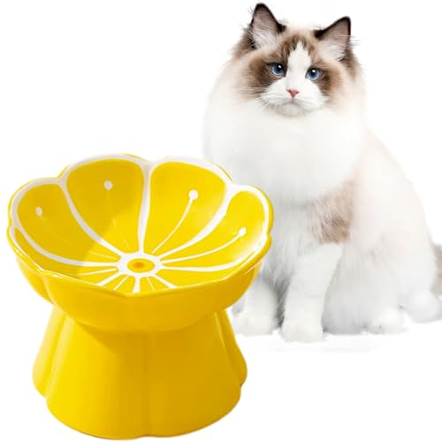 Erhöhte Keramik-Katzennäpfe, Anti-Erbrechen und schützt die Wirbelsäule des Haustiers, geneigte ergonomische Näpfe, niedliche Katzen-Futternäpfe für Indoor-Katzen (Gelb flach) von VEEKI