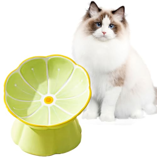 Erhöhte Keramik-Katzennäpfe, Anti-Erbrechen und schützt die Wirbelsäule des Haustiers, geneigte ergonomische Näpfe, niedliche Katzen-Futternäpfe für Indoor-Katzen (Grün geneigt) von VEEKI