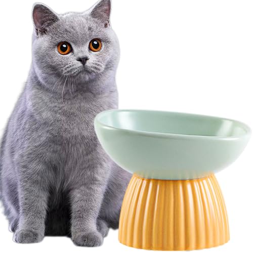 Erhöhter Futternapf für Katzen, 220 ml, Keramik, geneigt, verhindert Ermüdung des Halses, spülmaschinen- und mikrowellengeeignet, Grün von VEEKI
