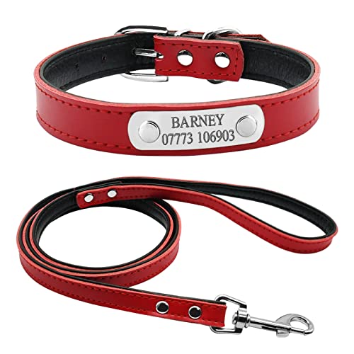 4 Farben Personalisiertes Graviertes Hundehalsband Leine Set Angepasster Name Telefon Metallschnalle Katze Welpe Haustier ID Halsband XS S M,Rot,M von VEKETE