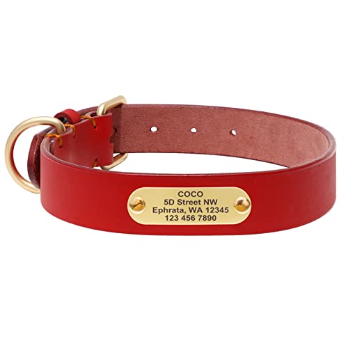 Benutzerdefiniertes Hundehalsband Langlebig Personalisierte Hundehalsbänder Gravierte Halsbänder Für Kleine Mittelgroße Hunde,Rot,2XL von VEKETE