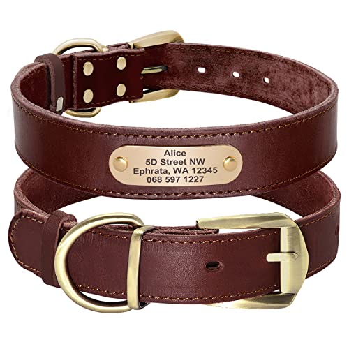 Personalisiertes Hundehalsband Für Kleine Mittelgroße Hunde Pitbull Personalisiertes Mode-Leder-ID-Halsband Mit Namensschild,Braun,XL von VEKETE