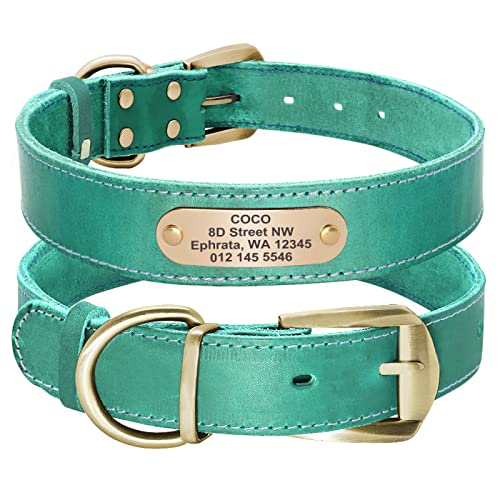 Personalisiertes Hundehalsband Für Kleine Mittelgroße Hunde Pitbull Personalisiertes Mode-Leder-ID-Halsband Mit Namensschild,Grün,M von VEKETE