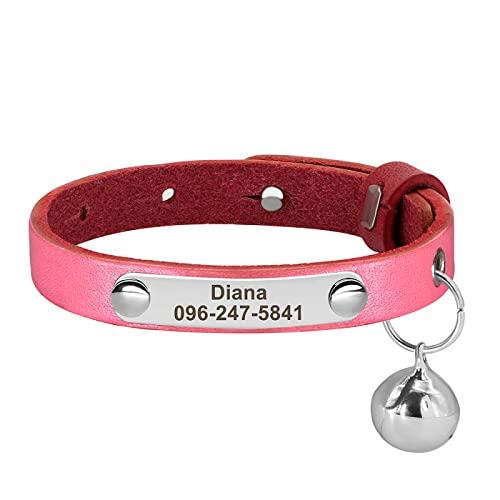 Personalisiertes Katzenhalsband,Bunte Verstellbare Kätzchen-Welpen-Halskette,Gravierte Katzen-ID,Namenshalsbänder,Katzenzubehör,Rosa,15-23cm von VEKETE