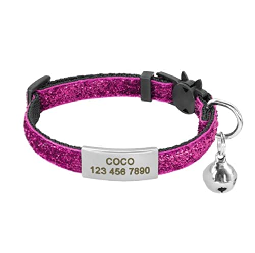 Release Cat Puppy Tag Collar Set Personalisiertes Nylon-Kätzchenhalsband Mit Gravur Für Kleine Haustiere,Kätzchen,1 cm Breite,stieg 2,18 Bis 27cm Release Cat Puppy Tag Collar Set Personalisiertes Nylon-Kätzchenhalsband Mit Gravur Für Kleine Haustiere,Kätzchen,1 cm Breite,stieg 2,18 Bis 27cm von VEKETE