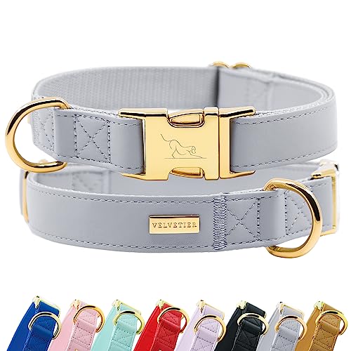 Halsband Hund von VELVETIER® | Stilvolles Hundehalsband aus Microfaser-Leder für kleine & große Hunde | Außen robust, innen weich | Hunde Halsbänder - M/L: 41-63cm, Manhattan (Grau) von VELVETIER