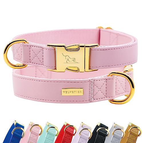 Halsband Hund von VELVETIER® | Stilvolles Hundehalsband aus Microfaser-Leder für kleine & große Hunde | Außen robust, innen weich | Hunde Halsbänder - S/M: 29-41cm, Rose (Rosa) von VELVETIER