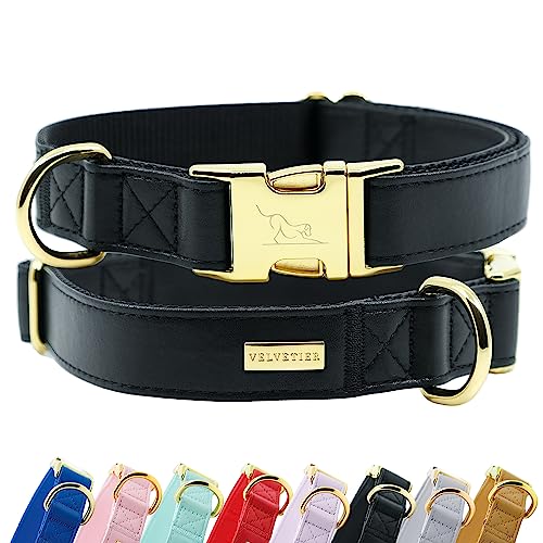 Halsband Hund von VELVETIER® | Stilvolles Hundehalsband aus veganem Mikrofaser Leder | Für kleine & große Hunde (S/M: 29 - 41cm, Midnight (Schwarz)) von VELVETIER
