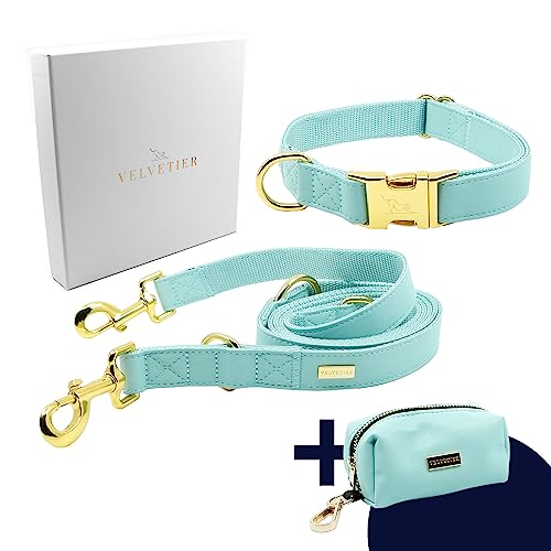 VELVETIER® Paris | Halsband Hund im Set mit Leine & Beutelspender | Veganes Leder | Hunde Halsbänder, Hundehalsband | Hundeleine 2m, Hundeleine mit Halsband (M/L: 39-59cm) von VELVETIER