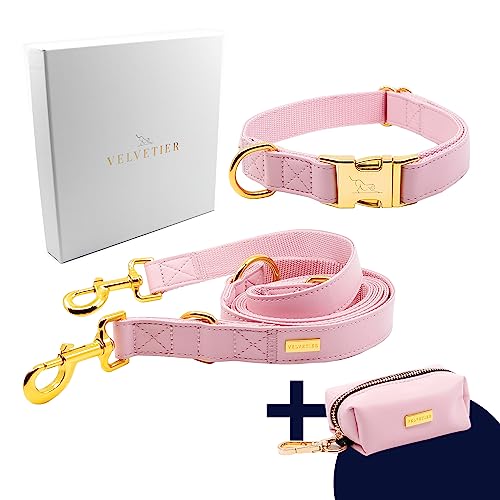 VELVETIER® Rose | Halsband Hund im Set mit Leine & Beutelspender | Veganes Leder | Hunde Halsbänder, Hundehalsband | Hundeleine 2m, Hundeleine mit Halsband (S/M: 29 - 40cm) von VELVETIER